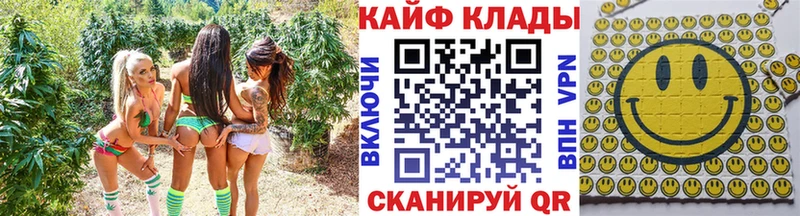 Наркошоп Выборг Канабис Галлюциногенные грибы мега как войти МЕФ Кокаин ГАШИШ