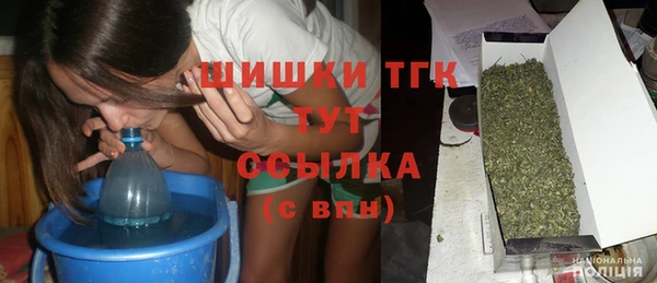 амф Верея