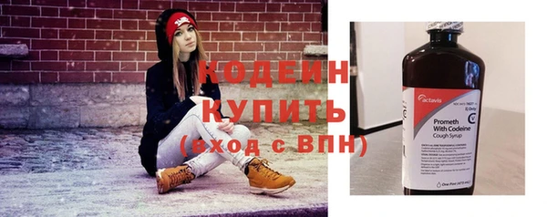 соль ск Верхний Тагил