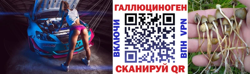 Псилоцибиновые грибы ЛСД  Выборг 